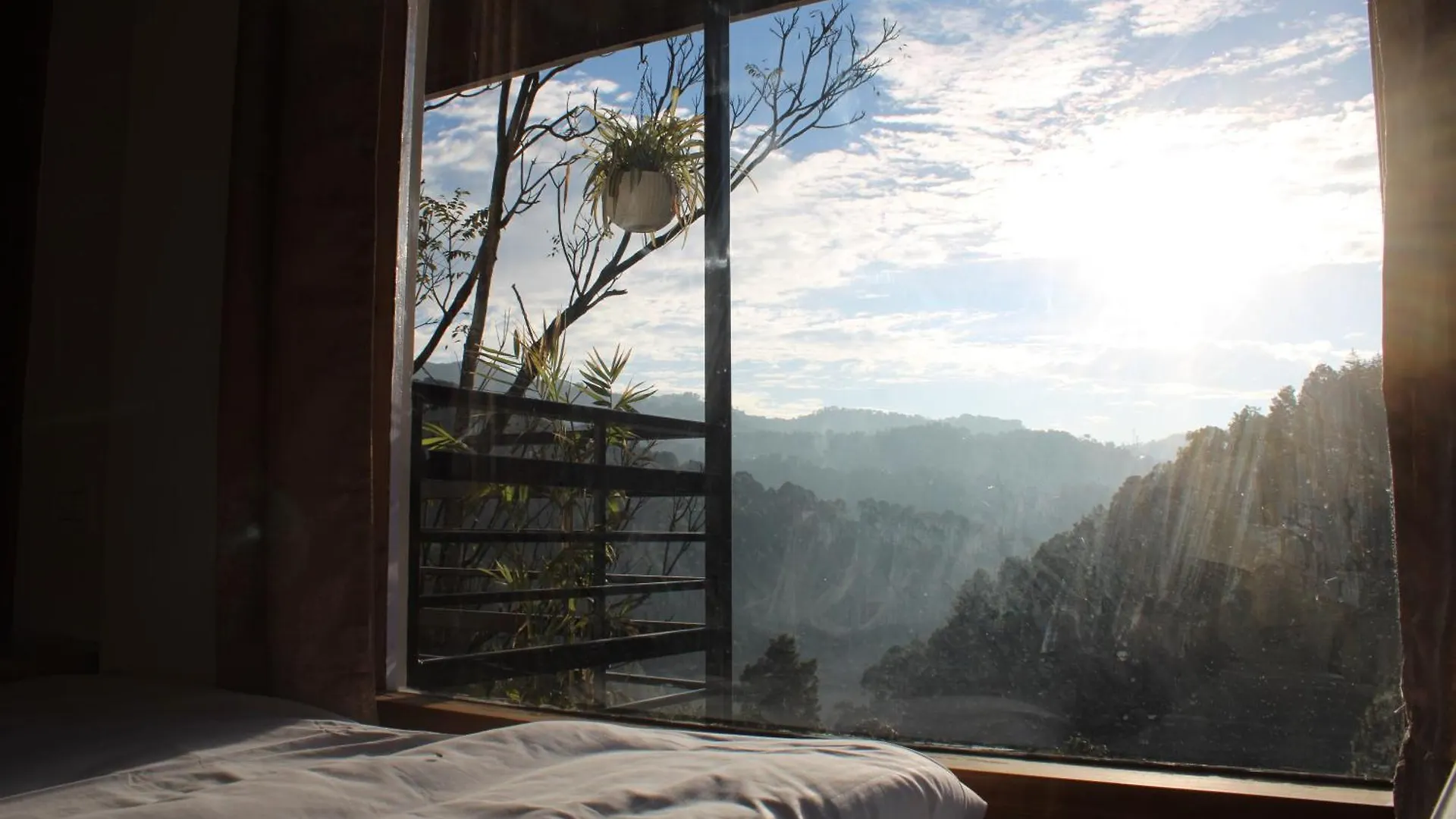 Silentwoods Homestay Shimla