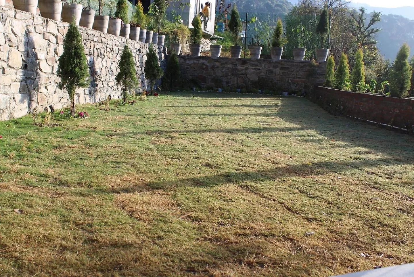 Silentwoods Homestay Shimla Hindistan